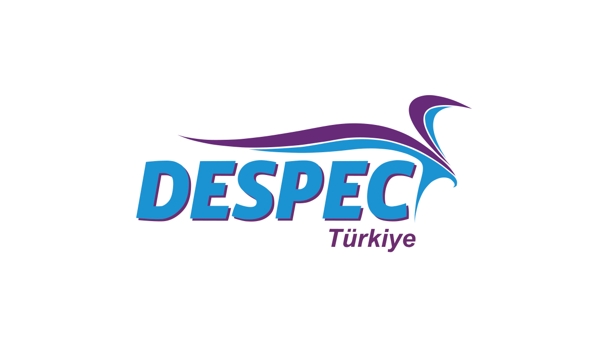 DESPC Hisse Yorum-DESPEC BİLGİSAYAR PAZARLAMA VE TİCARET ANONİM ŞİRKETİ